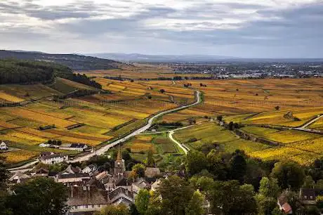 Photo de Chemins de Bourgogne