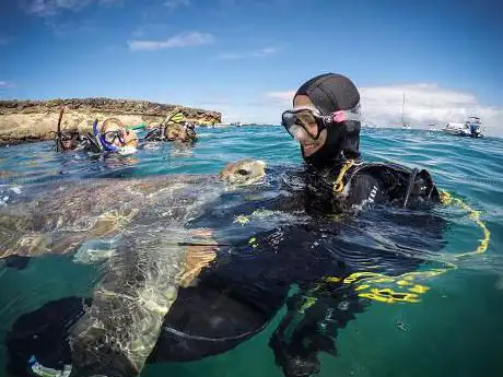 Photo de Tenerife Diving Centre