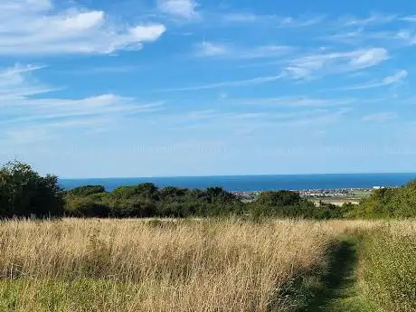 Photo de Lancing Ring