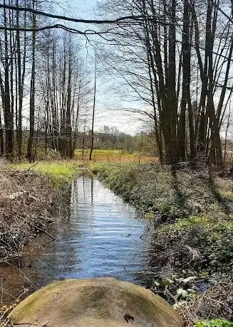 Photo de Ernst-Wittmark Park