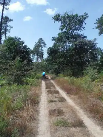 Photo de ATAHO : Visite Bordeaux à vélo/Gironde à vélo séjours nature sud-ouest et Teambuilding