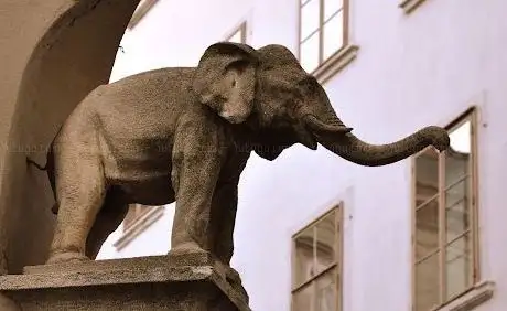 Photo de Der Kleine Elefant