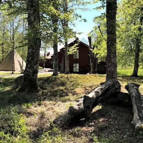 Photo de Kungajaktmuseet Älgens Berg