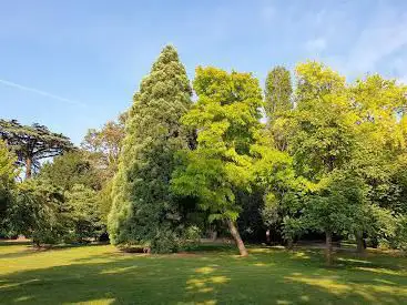 Photo de Parc Henri Matisse