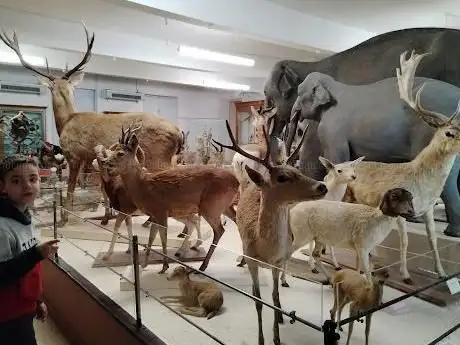 Photo de Muséum d'Histoire Naturelle Victor Brun