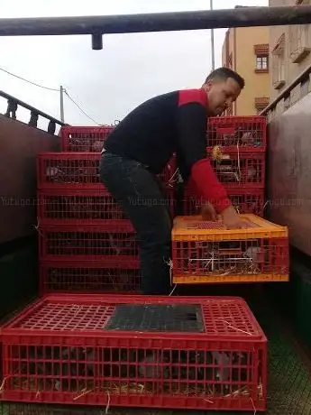 Photo de Dar Ismail