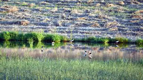 Photo de Aiguamolls de la Serra de Queralt
