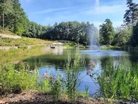 Photo de Waldsee