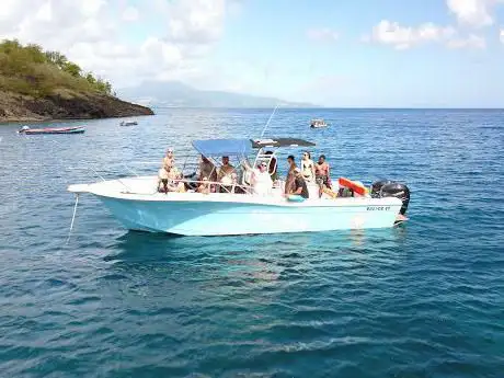 Photo de Dauphins-Emotion Excursion