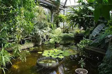 Photo of Botanical Garden of Charles University in Prague