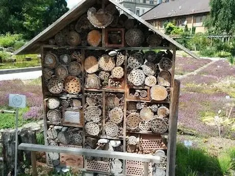 Photo of Jardin botanique de l'Université de Fribourg