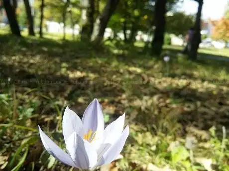Photo de Çocuk Bahçesi