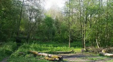 Photo de Peascroft Wood
