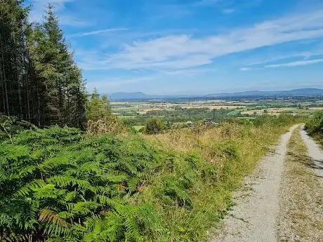 Photo de Killavullen Loop Forest Recreational Area