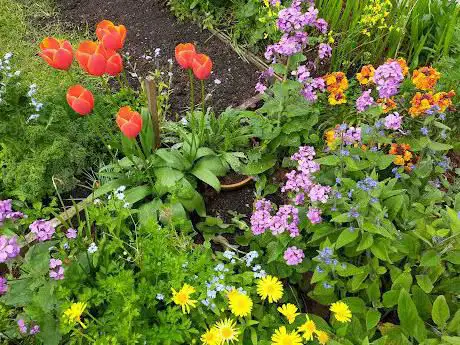 Photo de The Bruce Garden