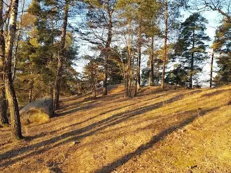 Photo de Engelska parken
