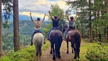 Photo de Fearless Horsemanship