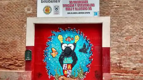 Photo de GSR Valladolid