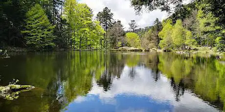 Photo de Lac de Fischboedle