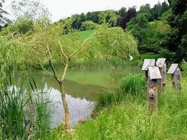 Photo de Madiswil Bürgisweier