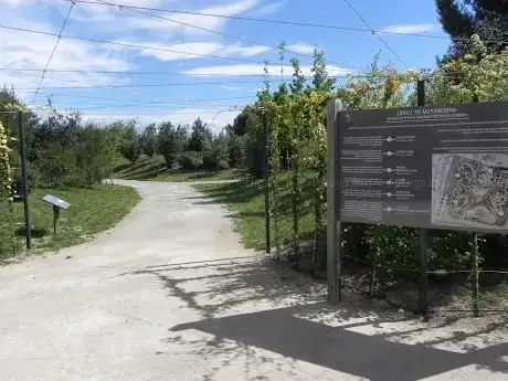 Photo de Arboretum de Lunel