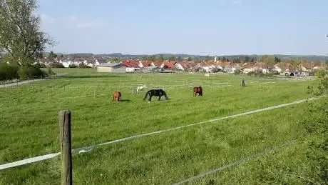 Photo de Reit- & Fahrclub Markt Erkheim e.V. (Reitverein  Reitanlage  Reitsport  Reitunterricht  Reitschule)
