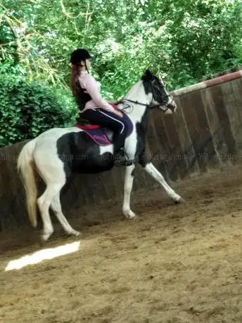 Photo de ðŸ´ Équitation de Trianon