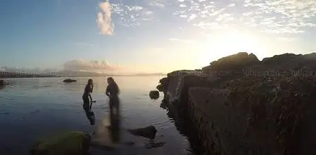 Photo de Sea Synergy Marine Awareness Centre | Waterville Things to do