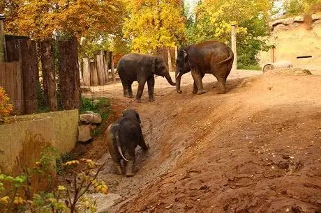 Photo de Zoo de Heidelberg