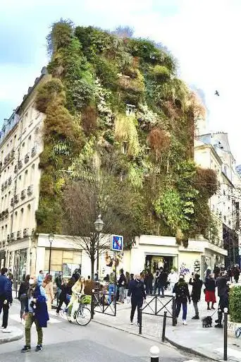 Photo de L'Oasis d'Aboukir