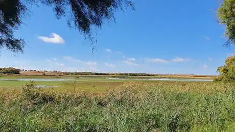 Photo de Observatorio de aves