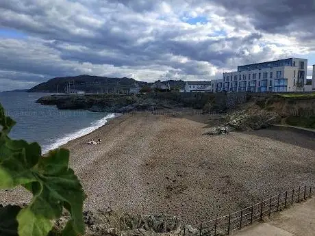 The Cove