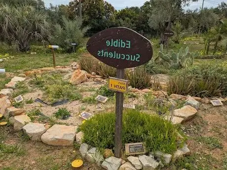 Photo de Orchard of Flavours - Pomar dos Sabores