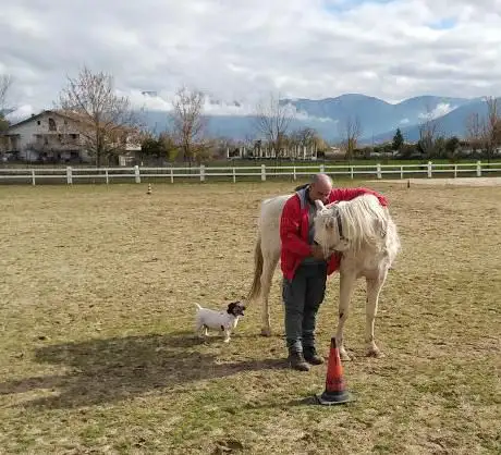 Photo de MZC Horses