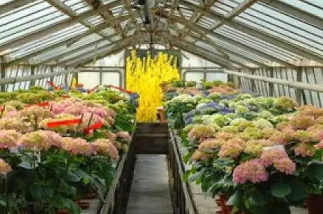 Photo de Bustaffa Floricoltura