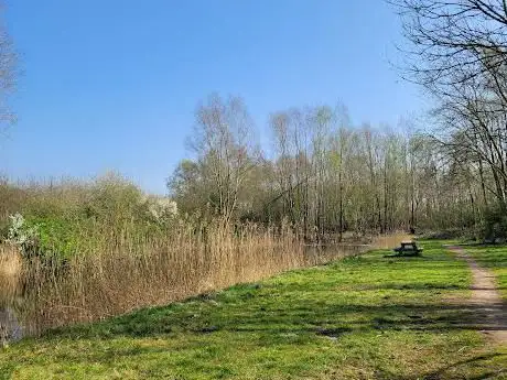 Photo de Het Merelbos