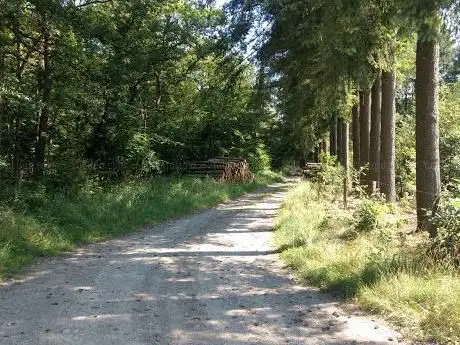Photo de Bois de la Boverie