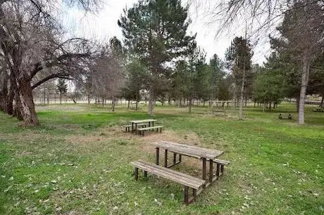 Photo de Picnic area