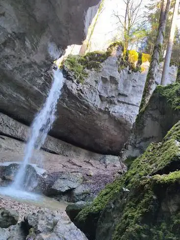 Photo de Chute du Bief de Vautenaivre