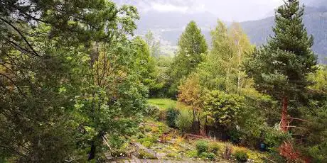 Photo de Alpine Botanical Garden