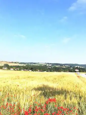 Photo de Réserve naturelle régionale des larris et tourbières de Saint-Pierre-es-Champs