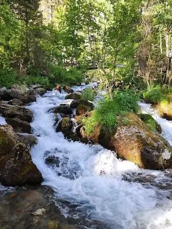 Photo de Pınargözü Mağarası Günübirlik Piknik Alanı