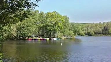 Photo de Base de Loisirs de l'étang de la Forêt