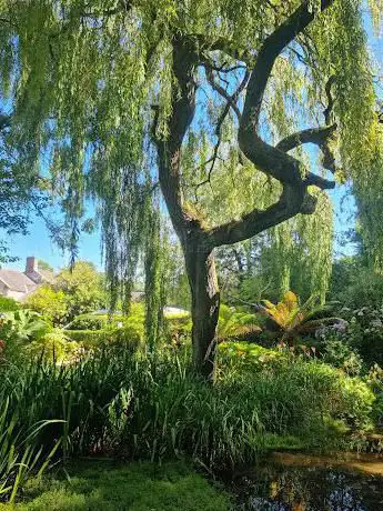 Photo de Upwey Wishing Well Tearooms & Water Gardens