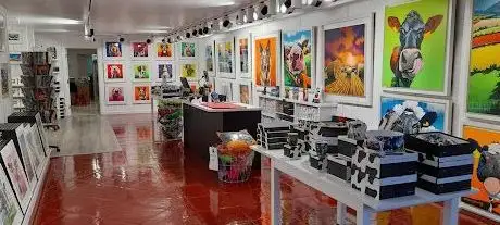 Eoin O Connor Gallery