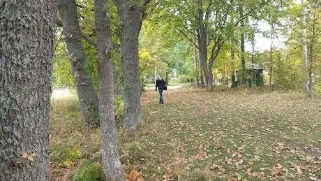 Photo de Jenny discgolfbana
