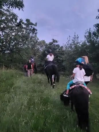 Photo de Rodi Equitazione