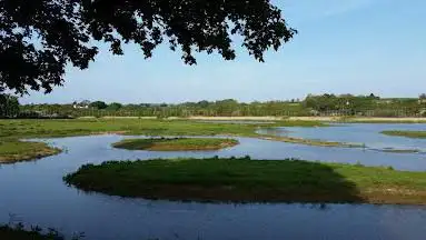 Photo de RSPB Bowling Green Marsh