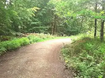 Photo de Leitersweiler Buchen - Tiefenbachtal -Osterwiesen