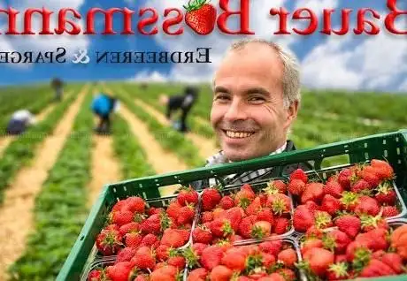 Photo de Bauer Boss Man - Strawberries & asparagus